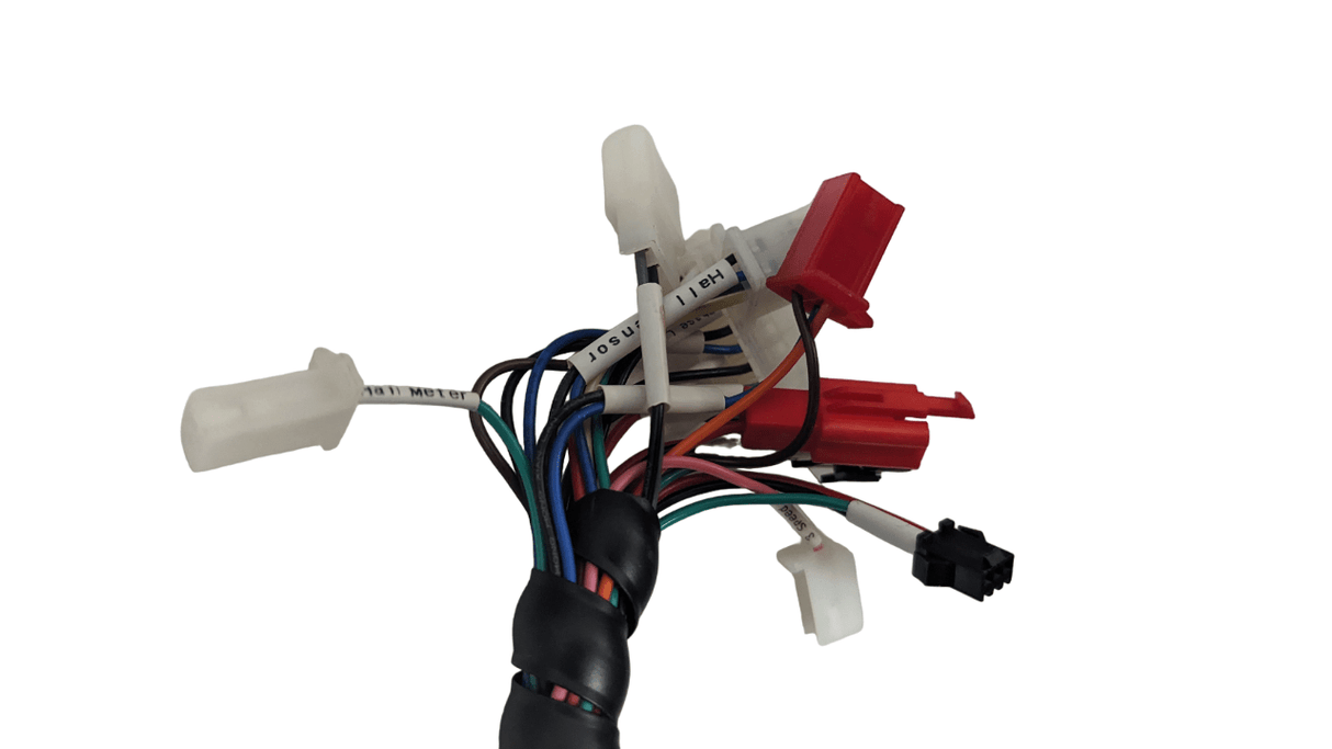 Daymak Battery & Motor Brushless Motor controller 24v 50Ah w/ Bluetooth for Rickshaw