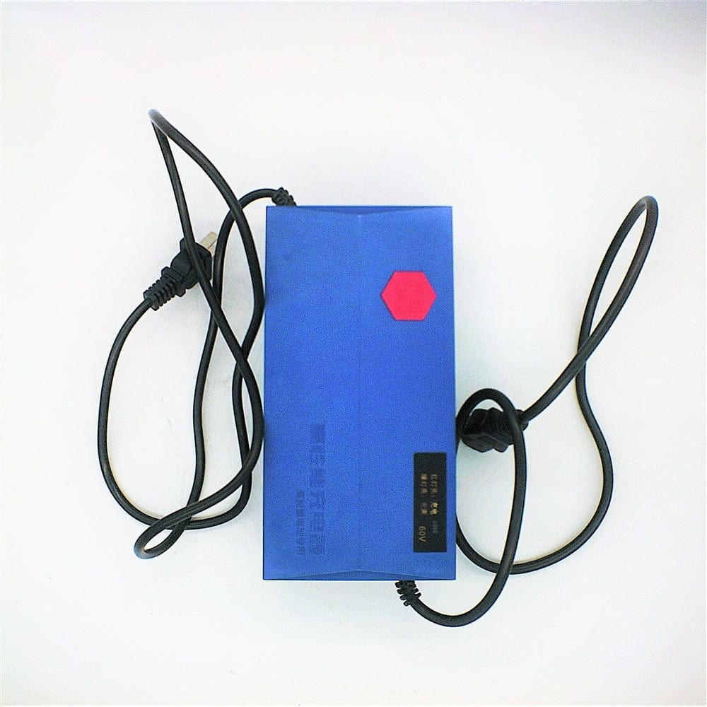 Daymak Battery & Motor Charger 60V 220V European pc plug