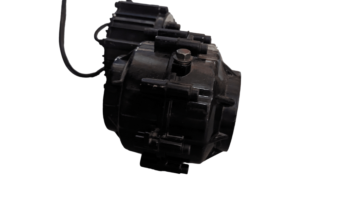 Daymak Motors 48V 500W brushless motor for Rickshaw