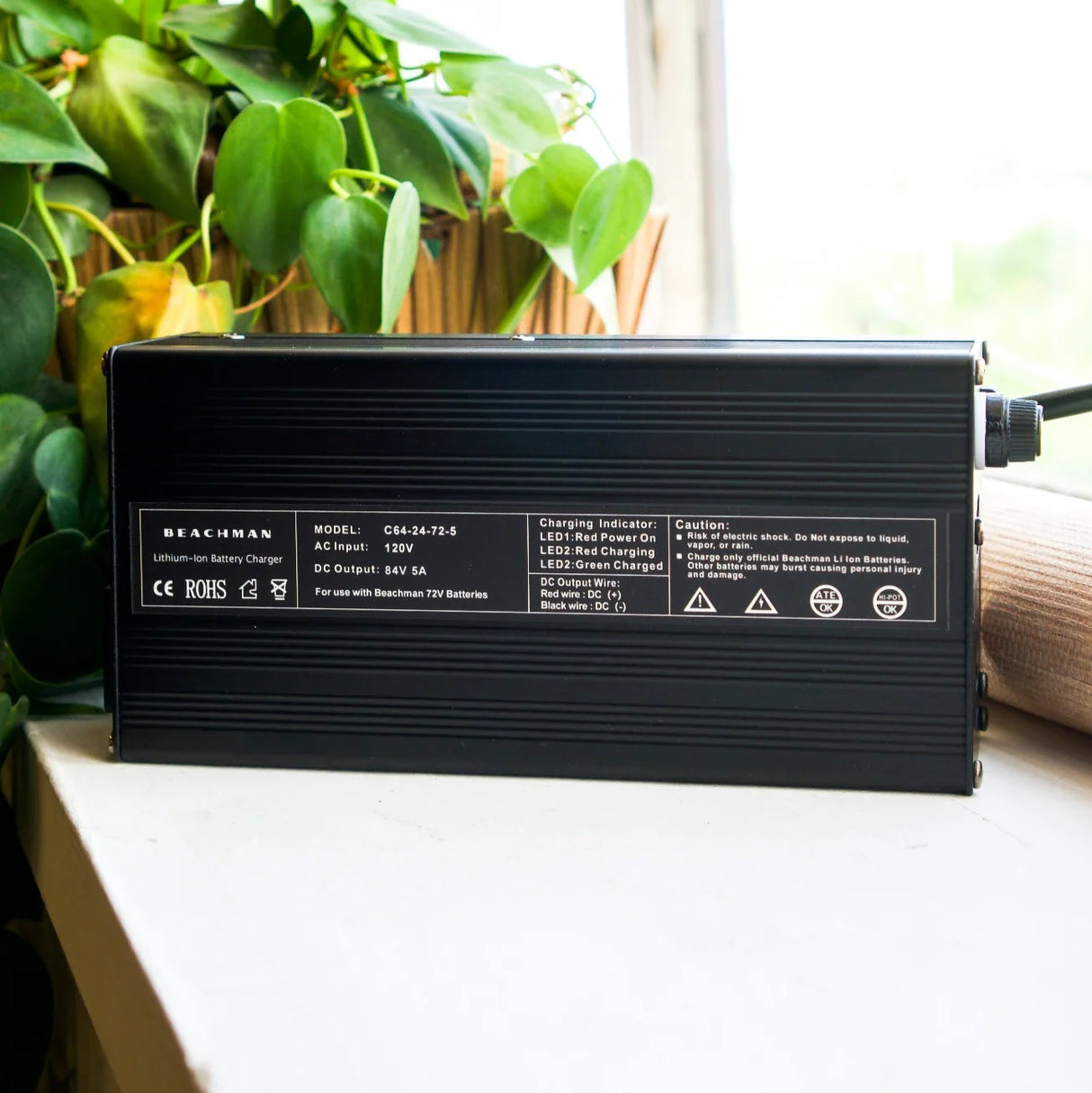 Beachman Lithium Charger (84V 5A)
