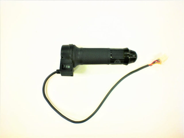 Daymak Electrical Throttle for Arrow