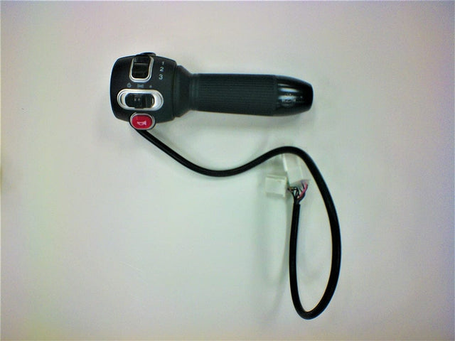 Daymak Electrical Throttle for Rebel