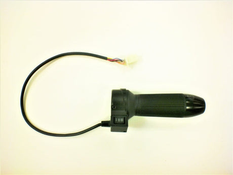 Daymak Electrical Throttle for Swift