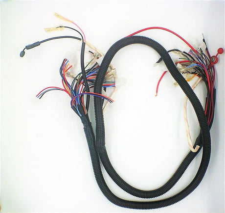 Daymak Electrical Wiring Harness for Alien