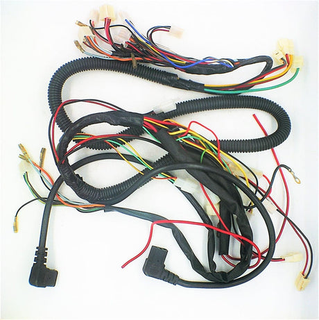 Daymak Electrical Wiring Harness for Austin 48V