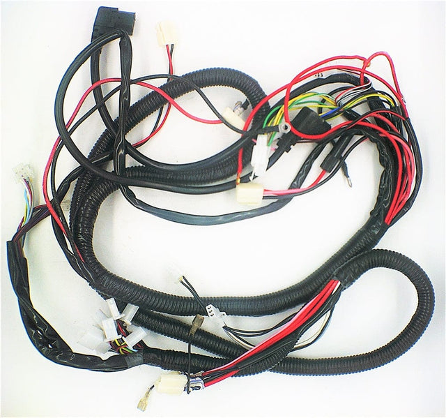 Daymak Electrical Wiring Harness for Austin SX