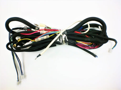 Daymak Electrical Wiring Harness for BBX