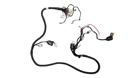 Daymak Electrical Wiring Harness for Beast 1.0