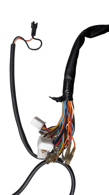 Daymak Electrical Wiring Harness for Chameleon and Hamilton