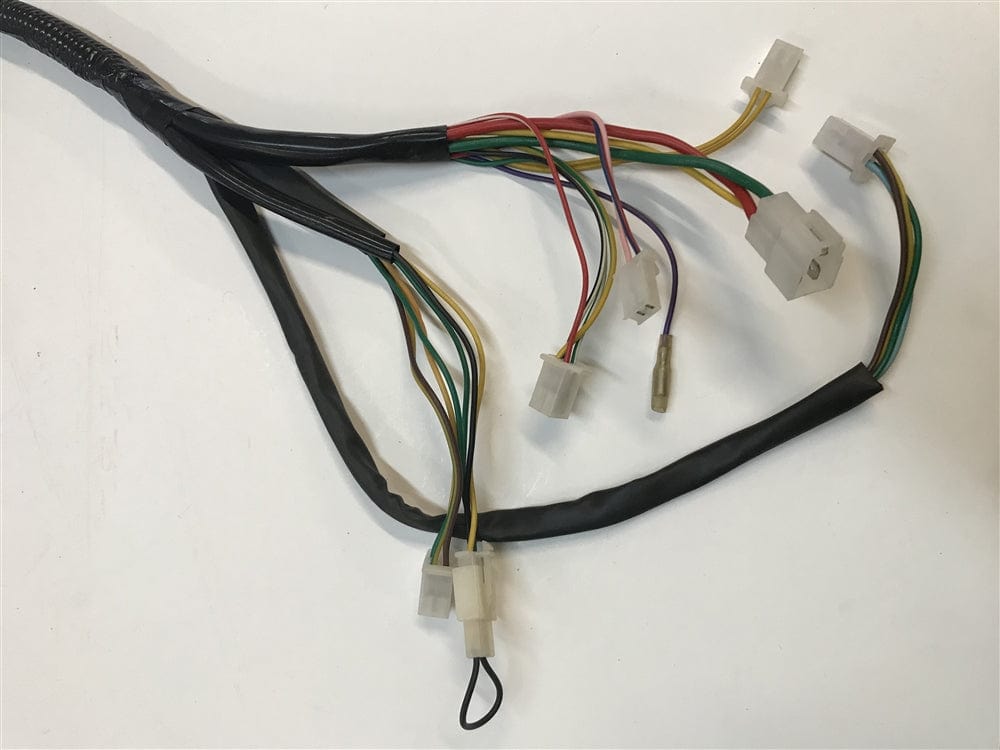 Daymak Electrical Wiring Harness for Chameleon - B