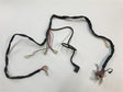 Daymak Electrical Wiring Harness for Chameleon - C