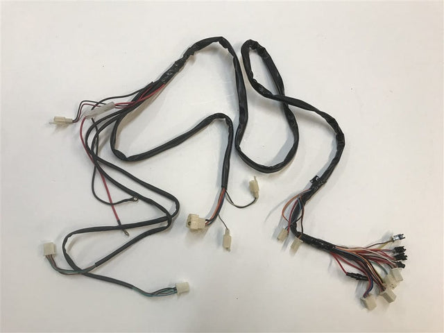 Daymak Electrical Wiring Harness for Chameleon - D