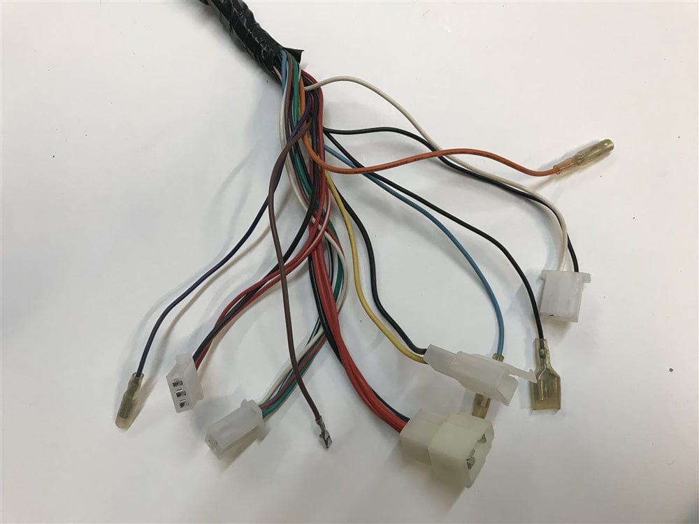 Daymak Electrical Wiring Harness for Chameleon - E