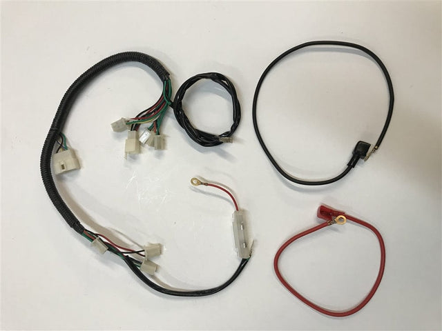 Daymak Electrical Wiring Harness for Dirtbike 250cc