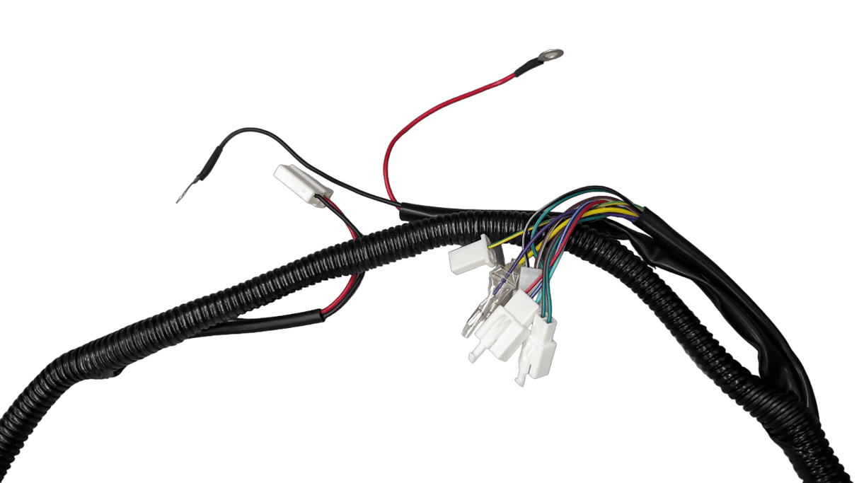 Daymak Electrical Wiring Harness for Eagle