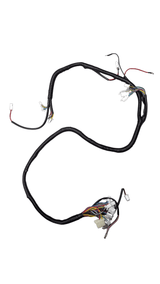 Daymak Electrical Wiring Harness for Eagle