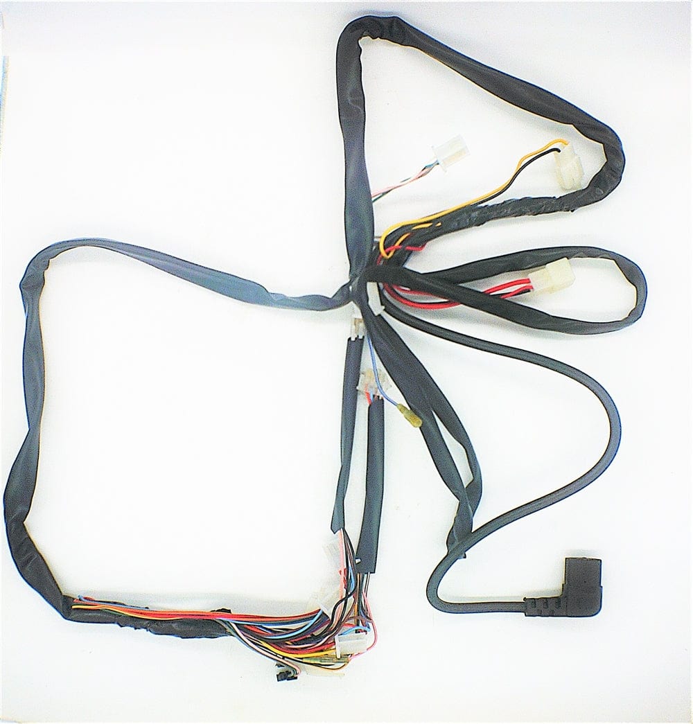 Daymak Electrical Wiring Harness for Ecostar