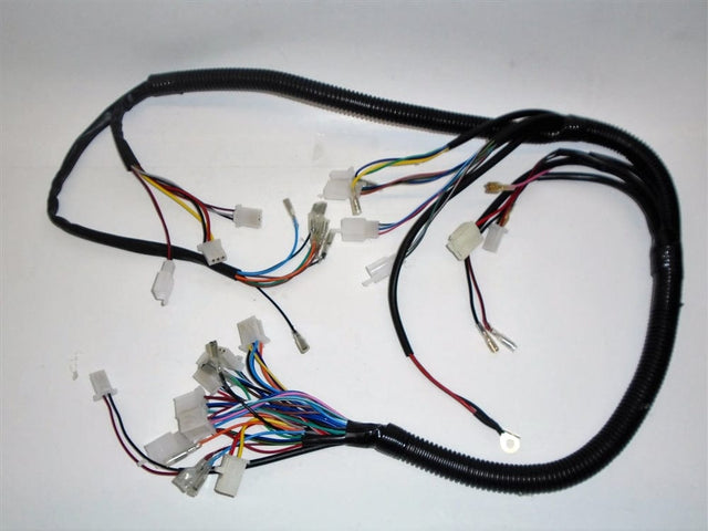 Daymak Electrical Wiring Harness for EM1