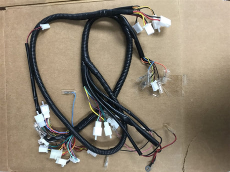 Daymak Electrical Wiring Harness for EM4