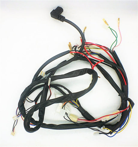 Daymak Electrical Wiring Harness for Jena