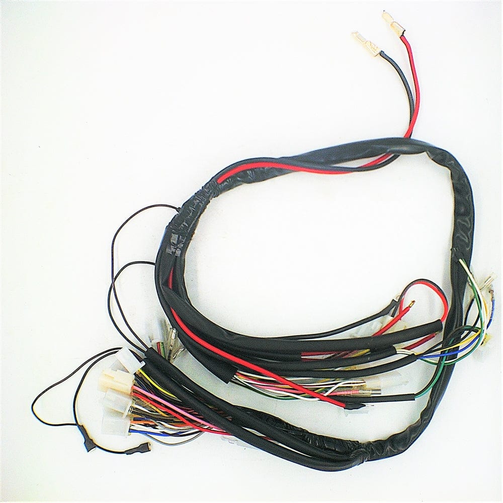 Daymak Electrical Wiring Harness for Rebel