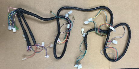 Daymak Electrical Wiring Harness for Rickshaw - B