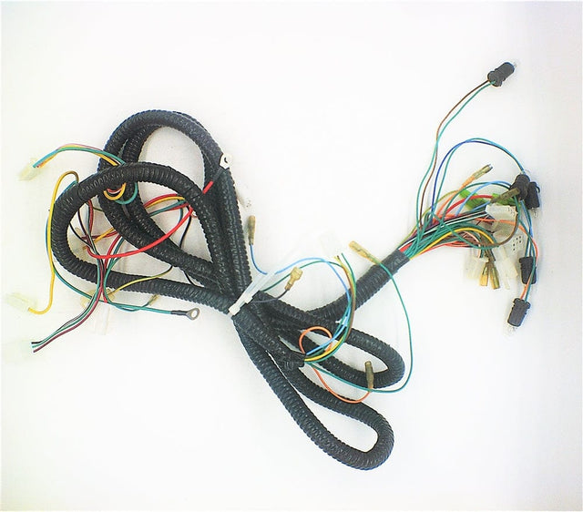 Daymak Electrical Wiring Harness for Rickshaw - C (w/ bulbs)