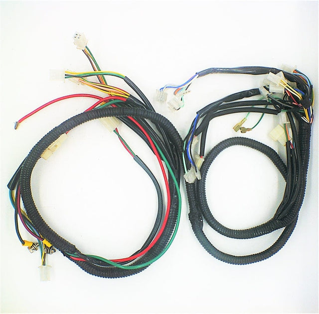 Daymak Electrical Wiring Harness for Rickshaw - D