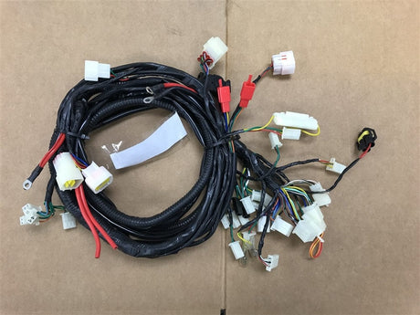 Daymak Electrical Wiring Harness for Roadstar Transformer