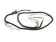 Daymak Electrical Wiring Harness for Rome