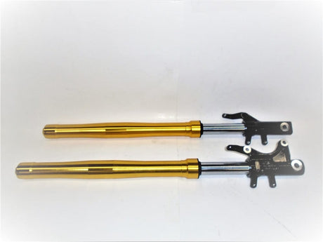 Daymak Shocks Front Shocks for EM1 / ROGUE gold